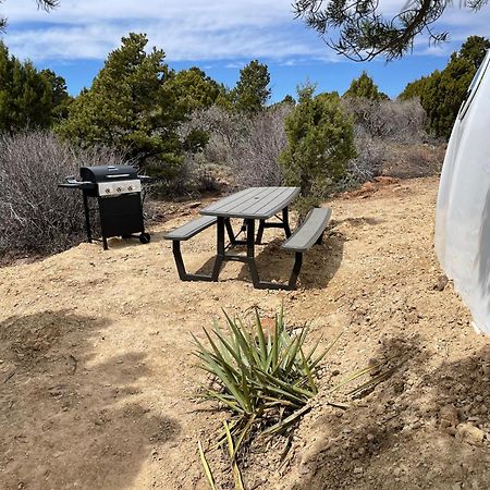 Canyon Rim Domes - A Luxury Glamping Experience!! Monticello Dış mekan fotoğraf